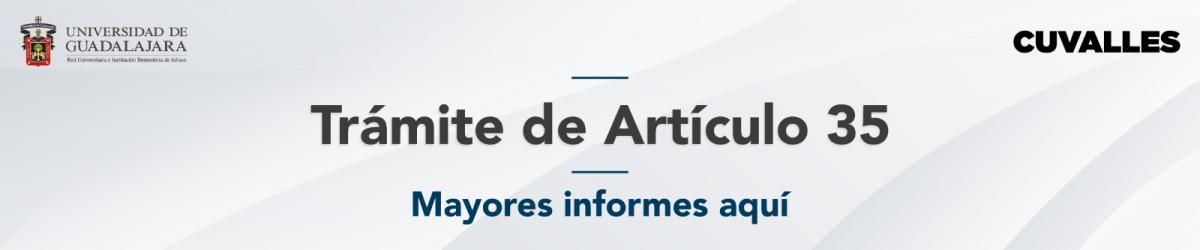 Artículo 35 