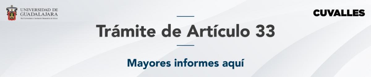 Artículo 33