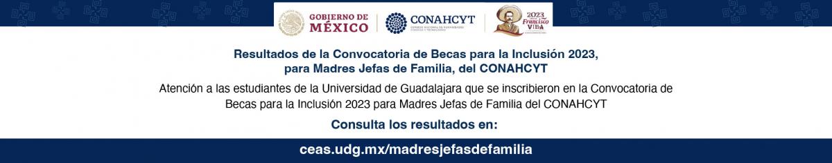 Resultados de la Convocatoria de Becas para la Inclusión 2023 - para madres de familia  CONAHCYT