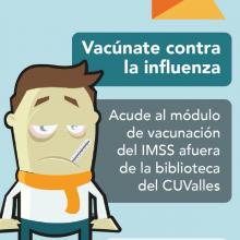 Cartel Influeza 2017